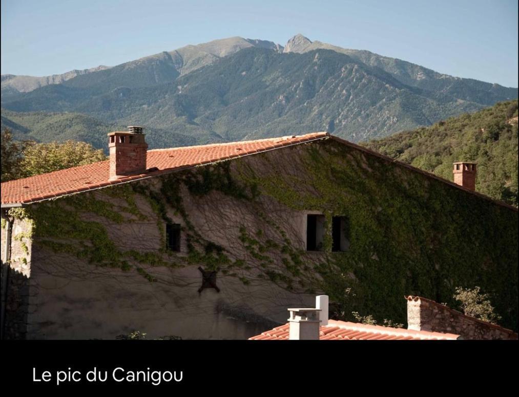 La Maison Du Bonheur Marquixanes Exteriör bild